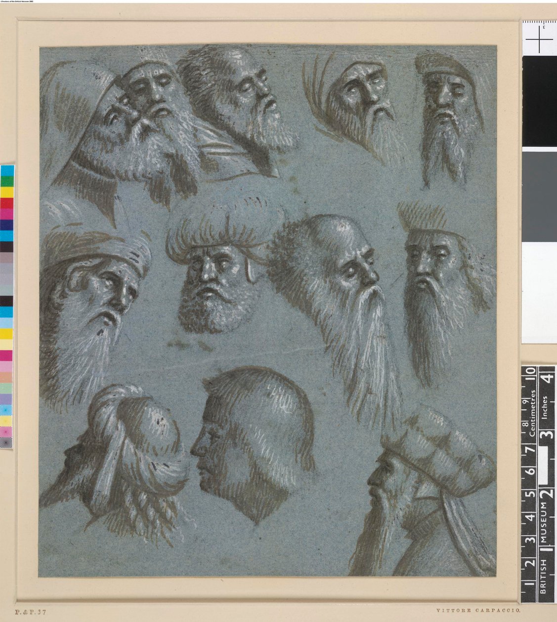Twelve Heads, Mostly Men with Beards, Some Wearing Turbans by Vittore Carpaccio