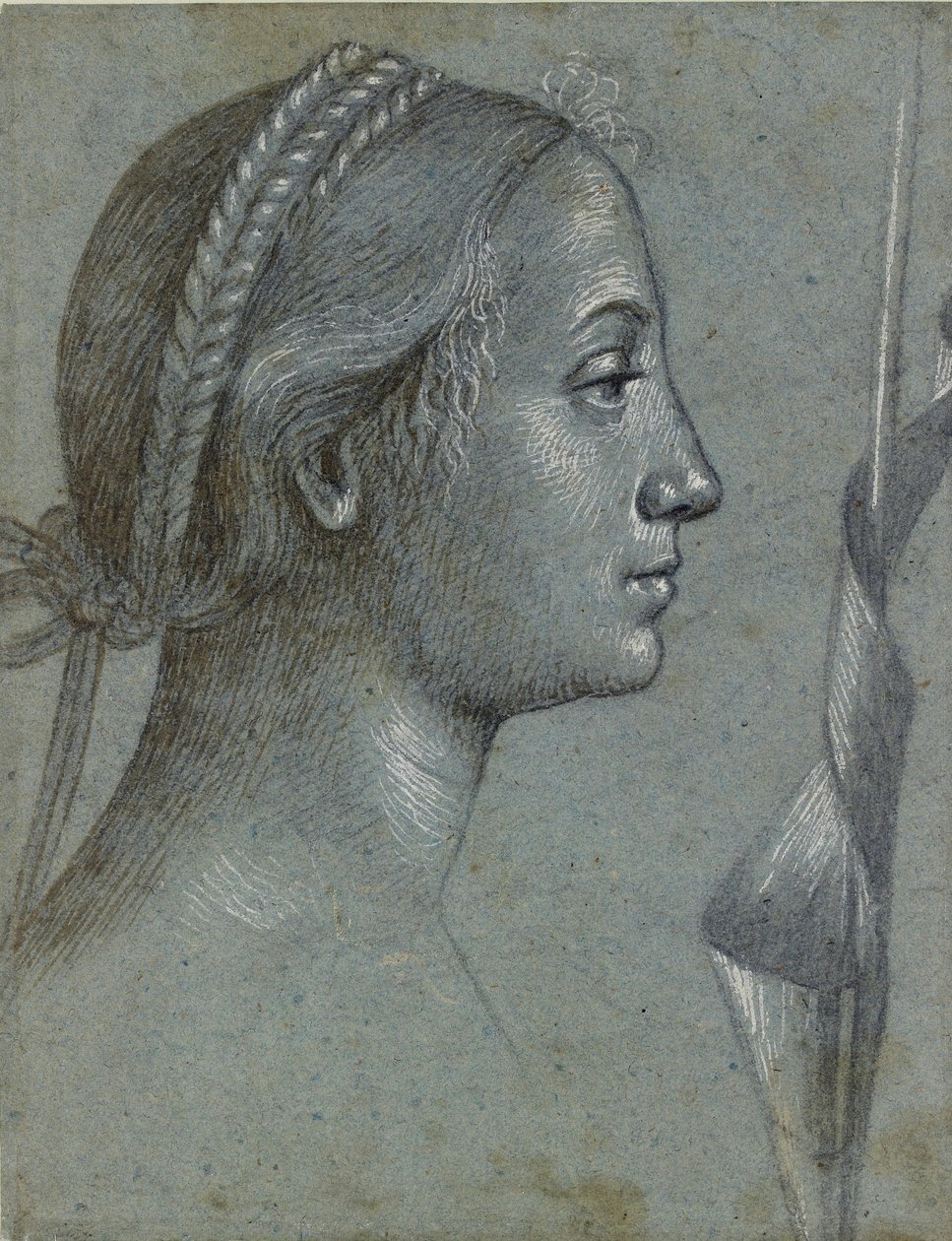 Head of a Woman with a Pennant wound round a Pole, late 15th century by Vittore Carpaccio