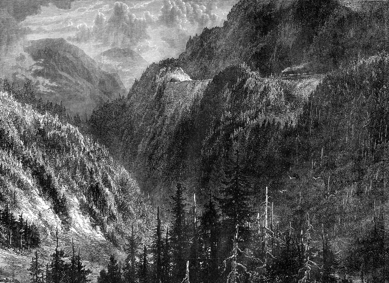 The Black Forest, Germany by WHJ Pool: Buy fine art print