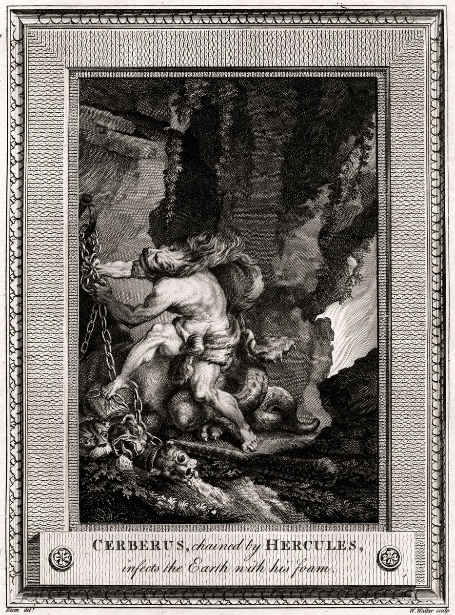 Cerberus, Chained by Hercules, Infects the Earth with His Foam by W. Walker