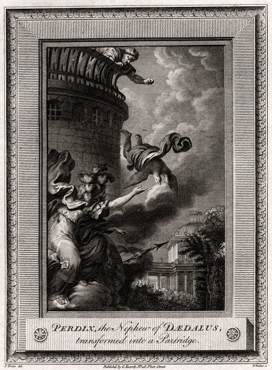 Perdix, the Nephew of Daedalus, Transformed into a Partridge, 1774 by W. Walker