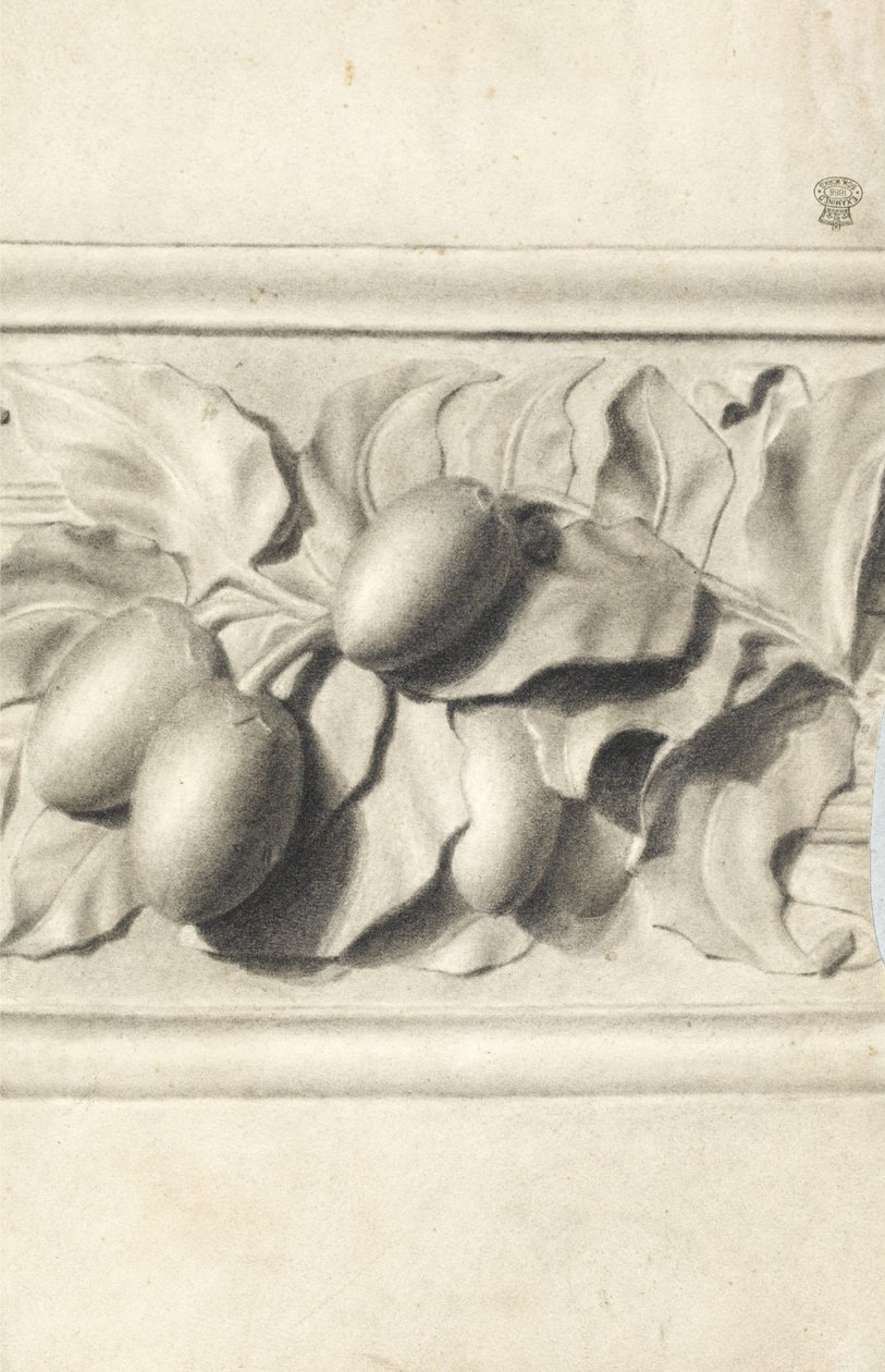 Drawing of fruit from plaster cast in relief