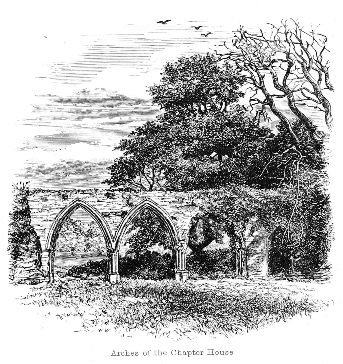 Arches of the Chapter House by Walter Crane