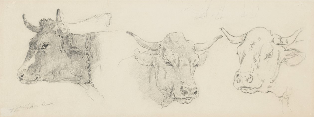 Study of Cattle for Sheep Shearing, 1872-77 by Walter Shirlaw