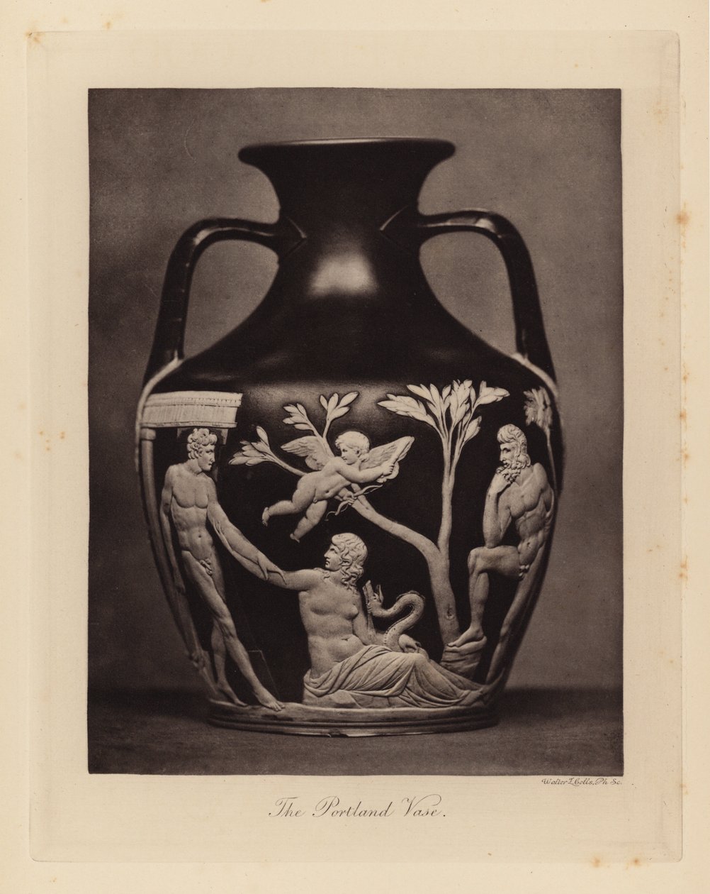 Replica of the Portland Vase by Wedgwood by Walter L. Colls