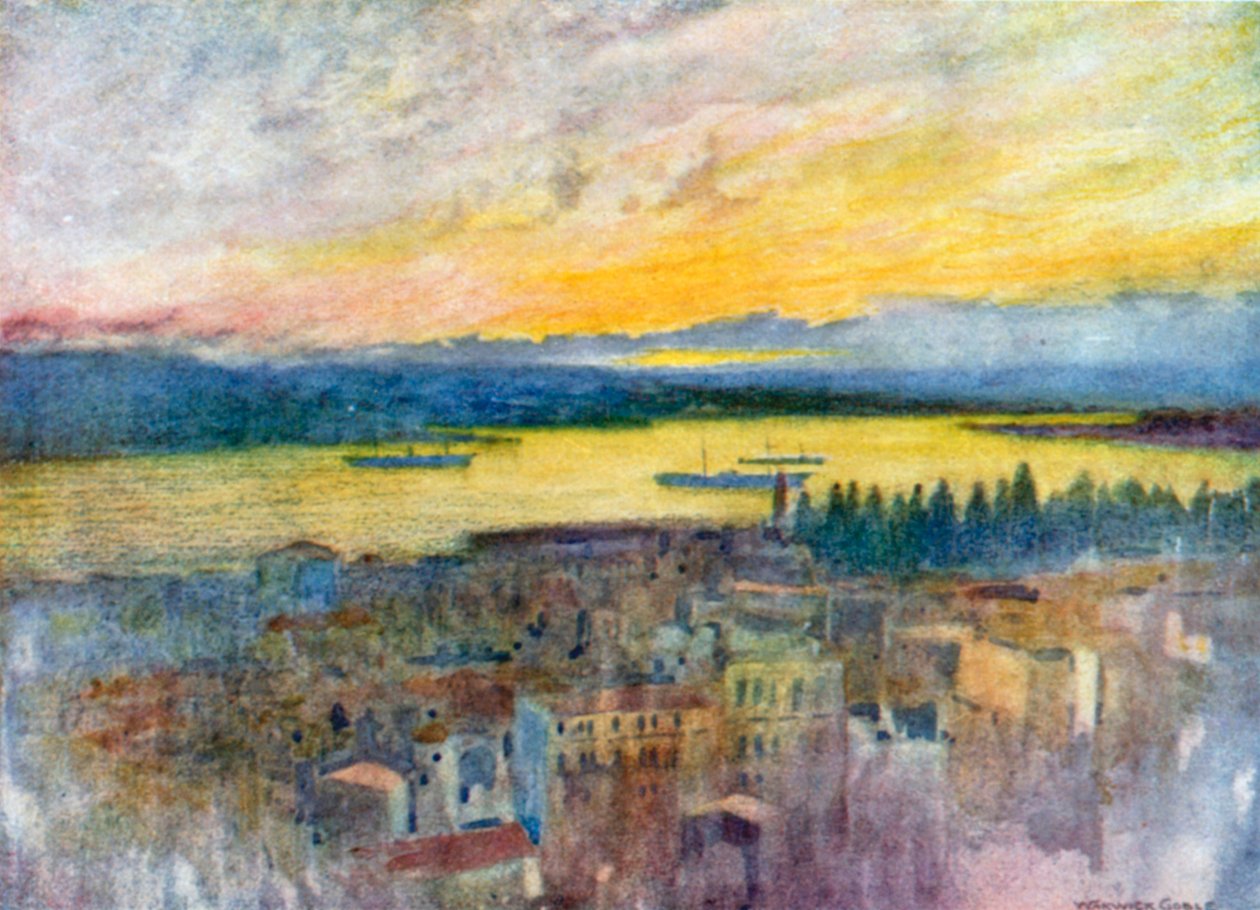 Golden Horn from the British Hospital, Galata by Warwick (after) Goble