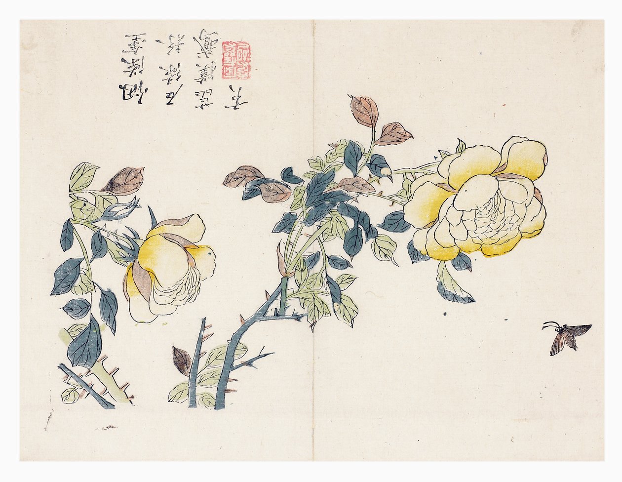 Mustard Seed Garden by Wen-shu Chao