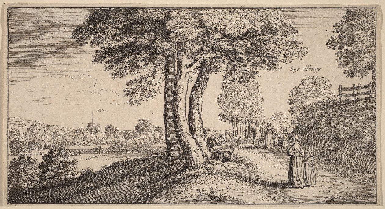 Albury by Wenceslaus Hollar