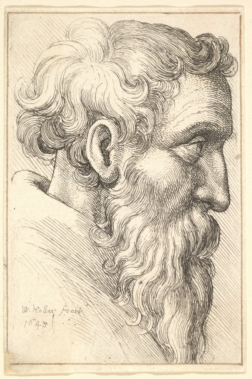 Bearded Old Man in Profile, 1645 by Wenceslaus Hollar