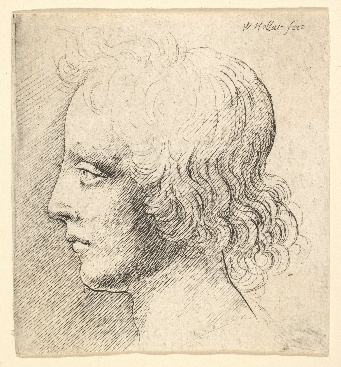 Head of Young Man by Wenceslaus Hollar
