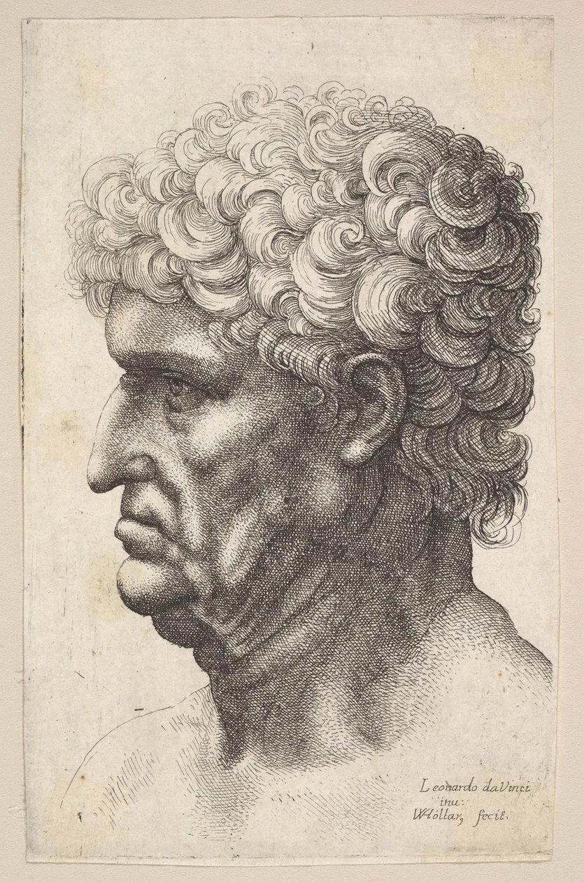 Head of a Man with Thick Curly Hair in Profile to the Left by Wenceslaus Hollar
