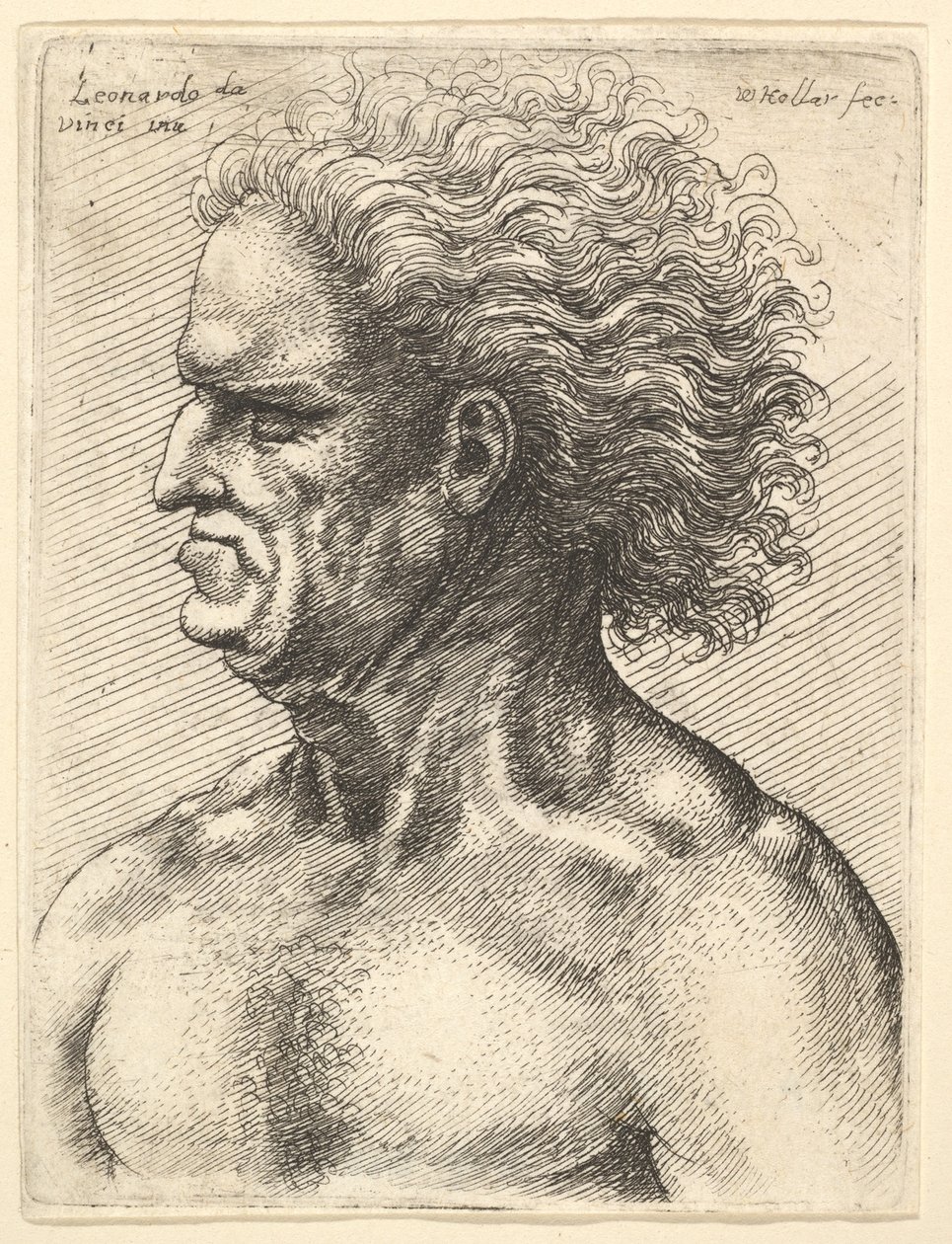 Head of a muscular old man in profile to left with flowing hair, 1625-77 by Wenceslaus Hollar