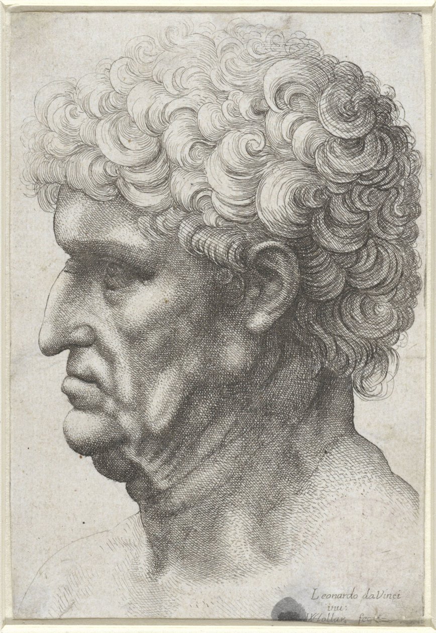 Head of a Man with Curly Hair, in Profile by Wenceslaus Hollar