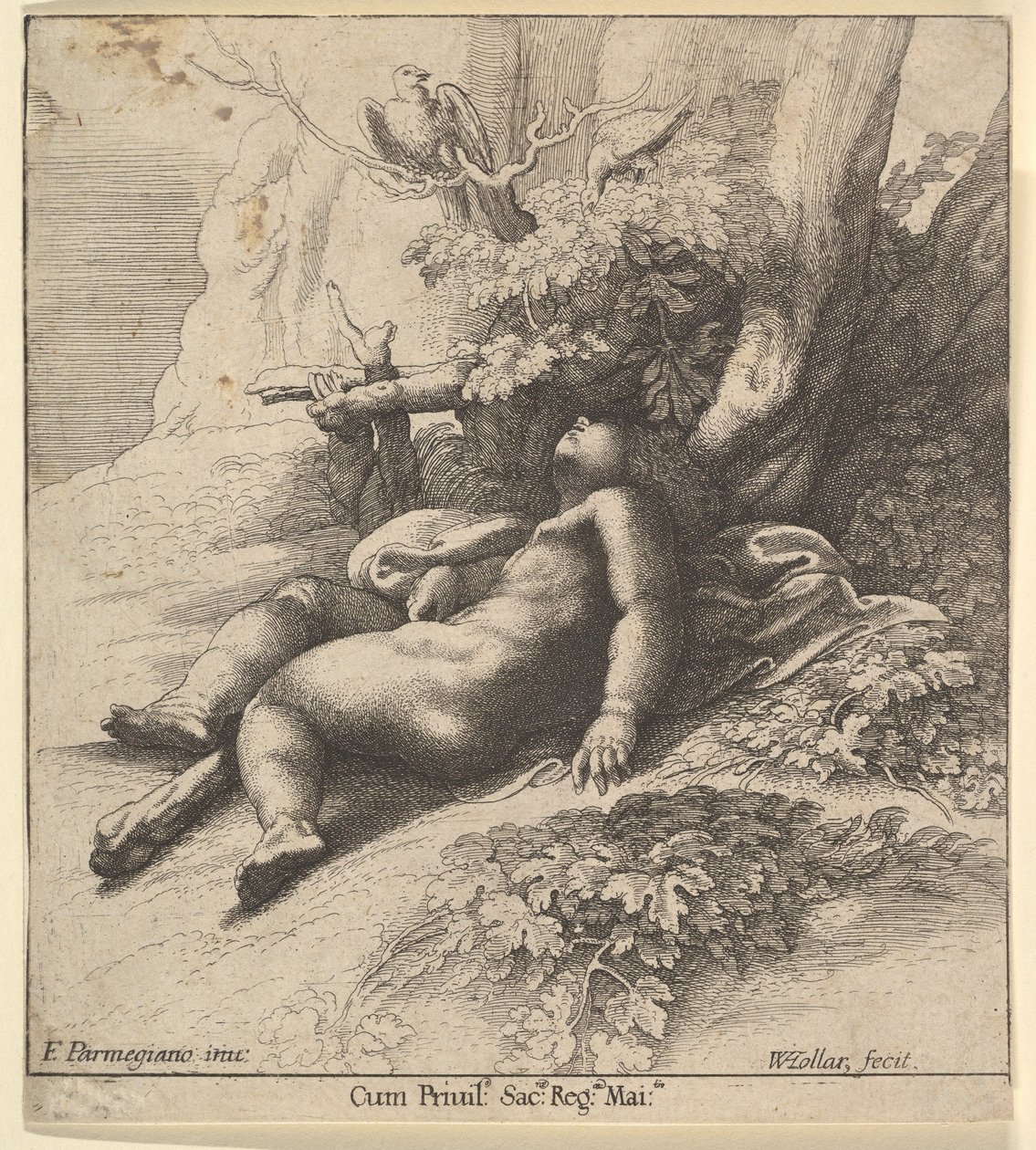 Infant Hercules Asleep by Wenceslaus Hollar