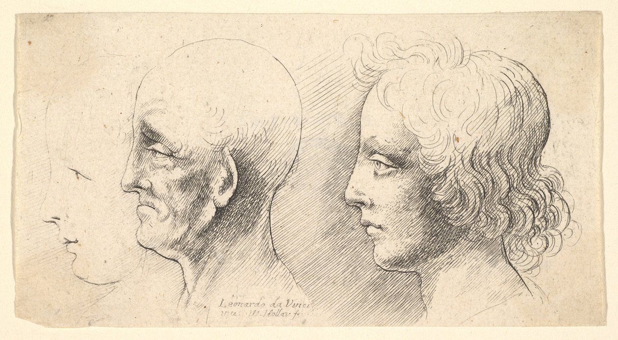Three Profile Heads, One in Outline Only by Wenceslaus Hollar