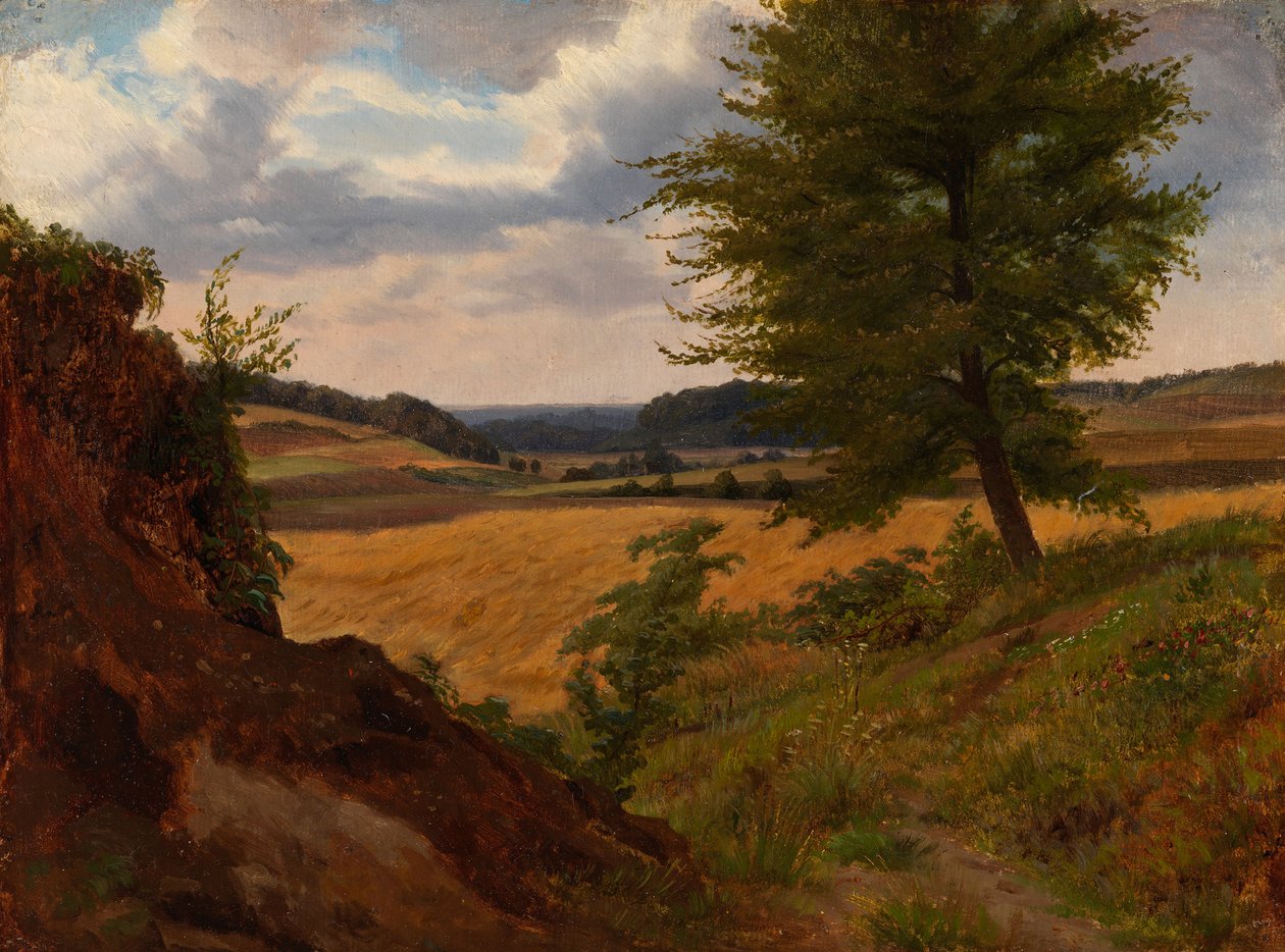 Tree in Field Landscape, Study by Werner Holmberg