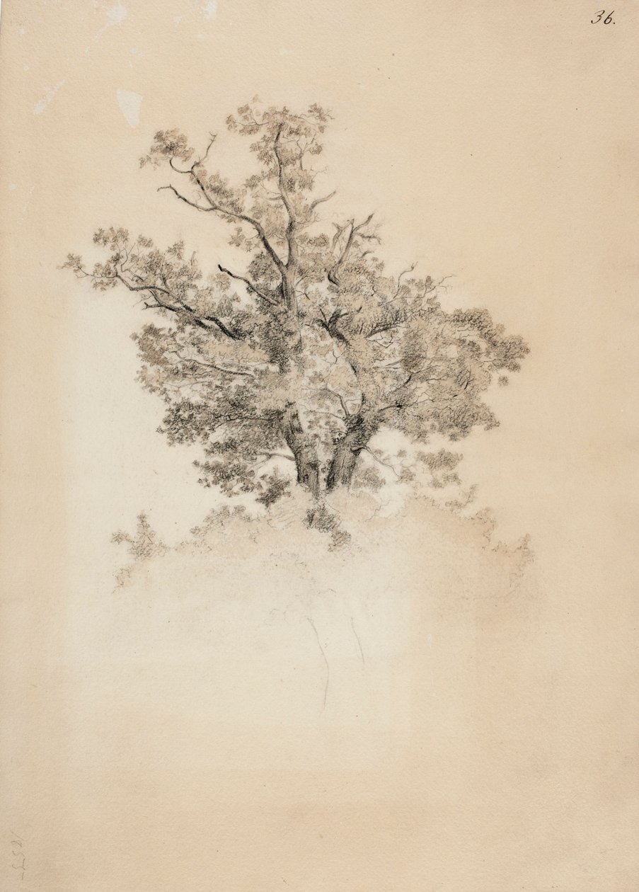 Untitled by Werner Holmberg