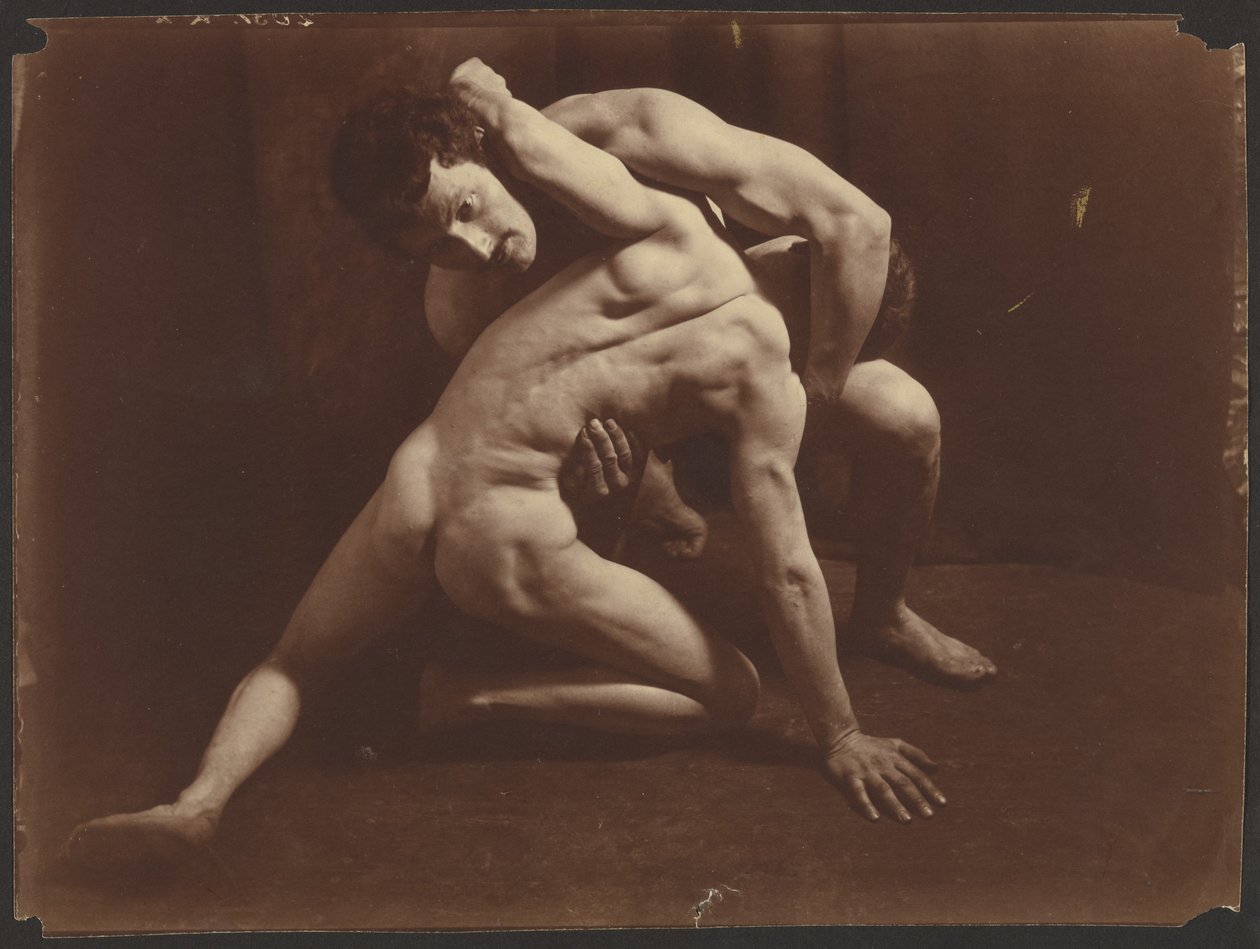 Wrestlers by Wilhelm Baron von Gloeden