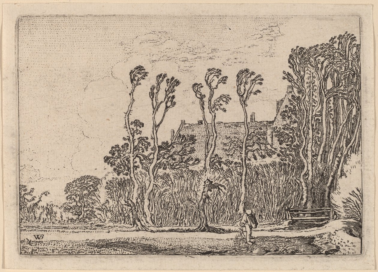 The Sower by Willem Buytewech