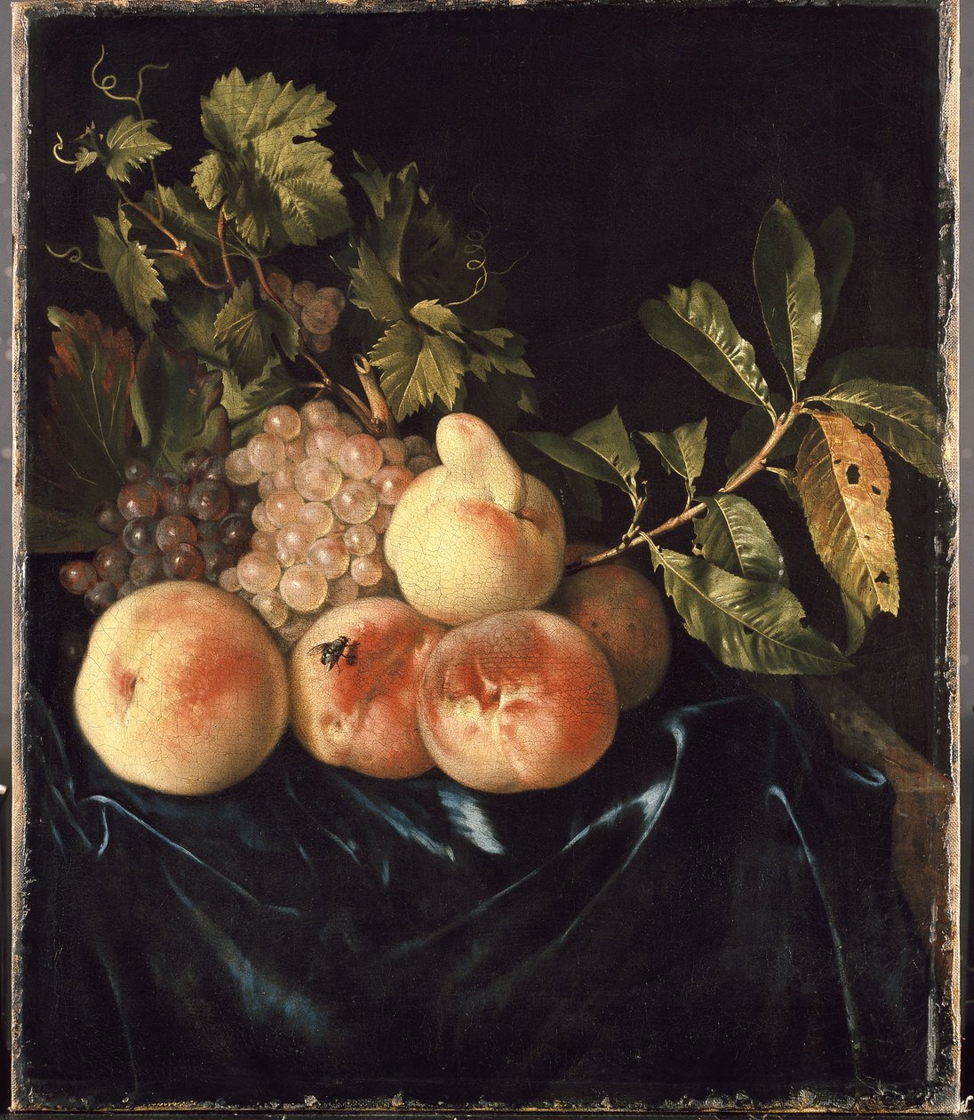 Still Life with Peaches and Grapes by Willem Frederik van Royen
