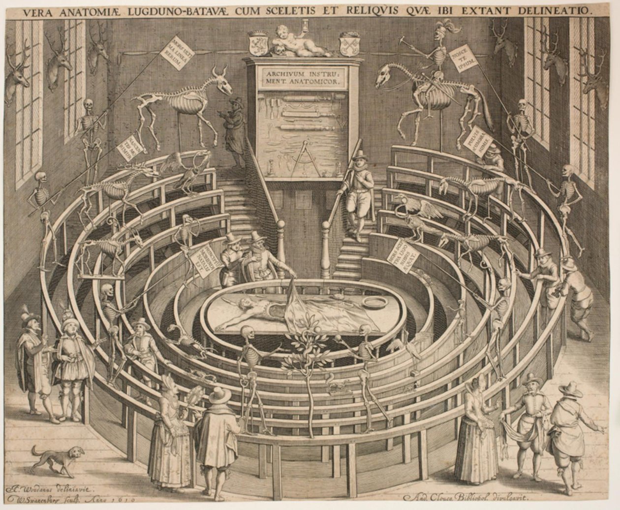 The Anatomical Theatre Hall in Leiden by Willem Isaaksz Swanenburgh