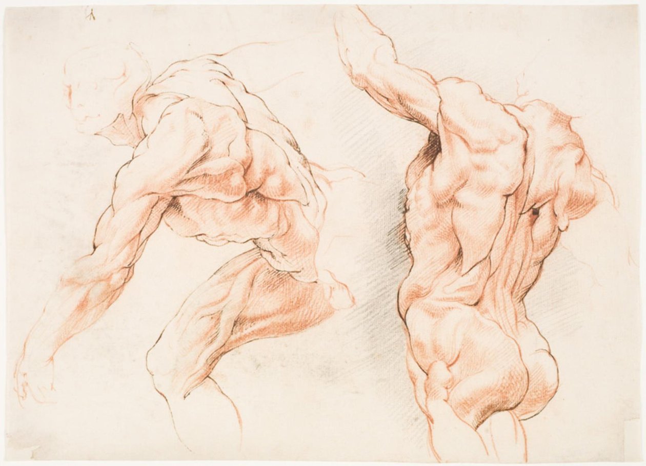 Two Anatomical Studies of a Man Leaning to the Left, and Another Seen From Behind With Raised Arm (Écorché) by Willem Panneels