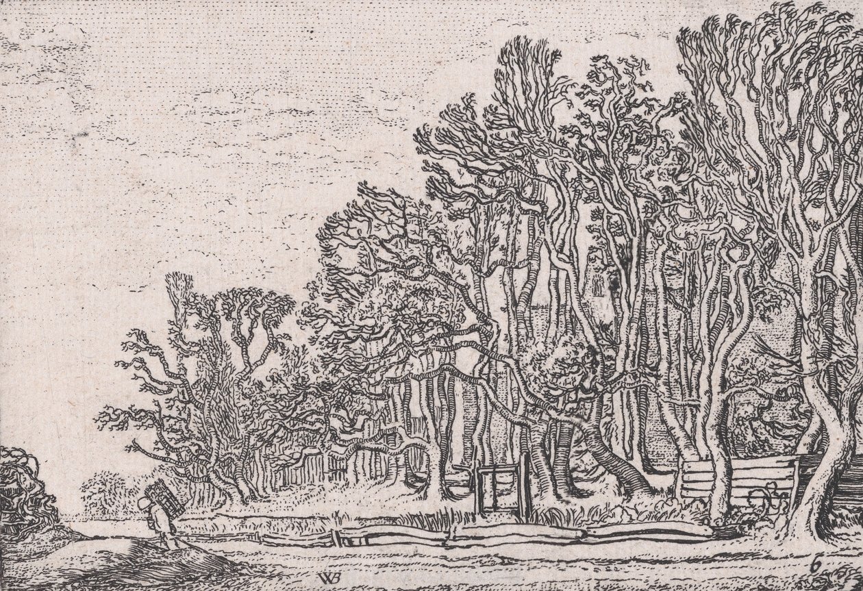 Two Plank Hedges, from Various Little Landscapes, Plate 6 by Willem Pietersz. Buytewech