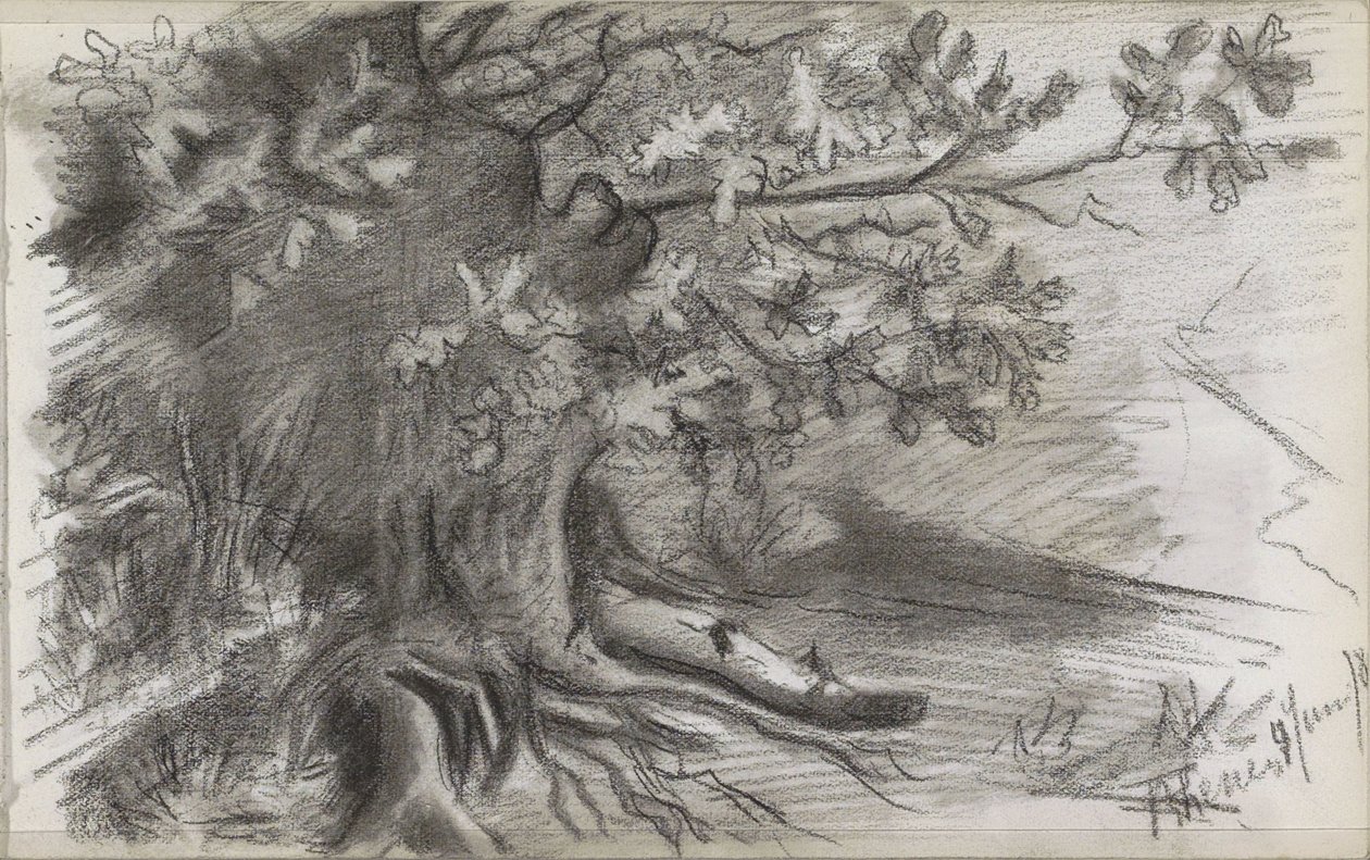 Landscape with a Large Tree in Rhenen by Willem Arnoldus Witsen