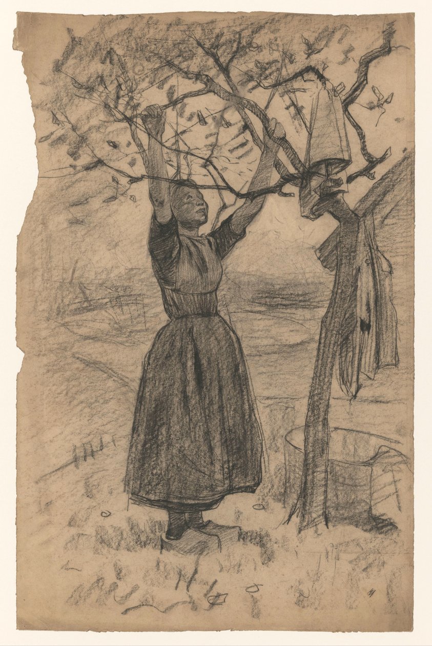 Woman Hanging Laundry in a Tree, to the Right by Willem Arnoldus Witsen