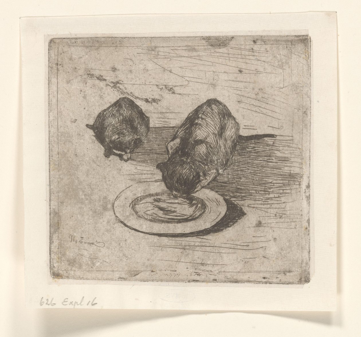 Two Cats, One Drinking from a Plate by Willem de Zwart