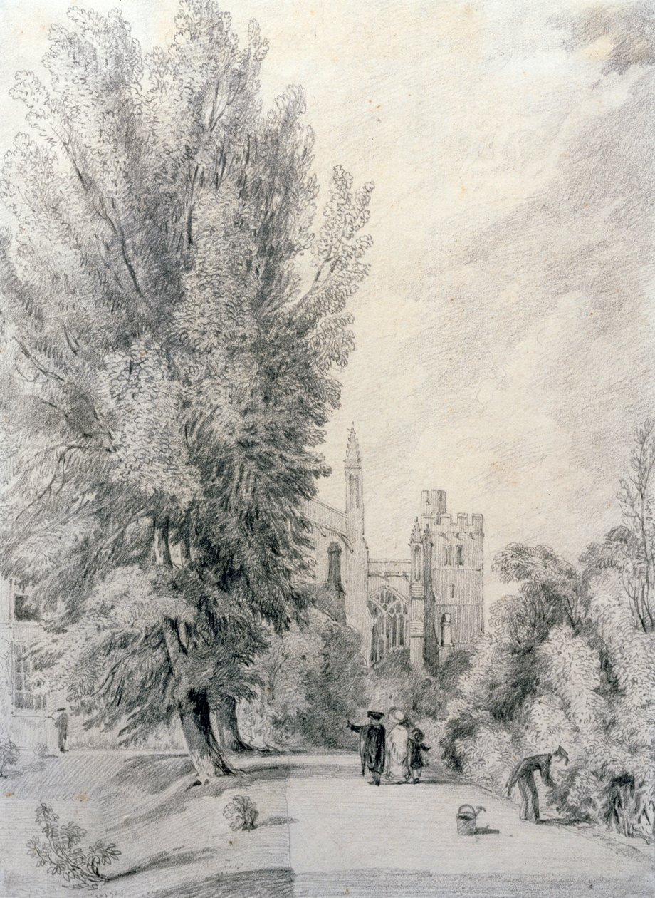 New College Garden by William Alfred Delamotte