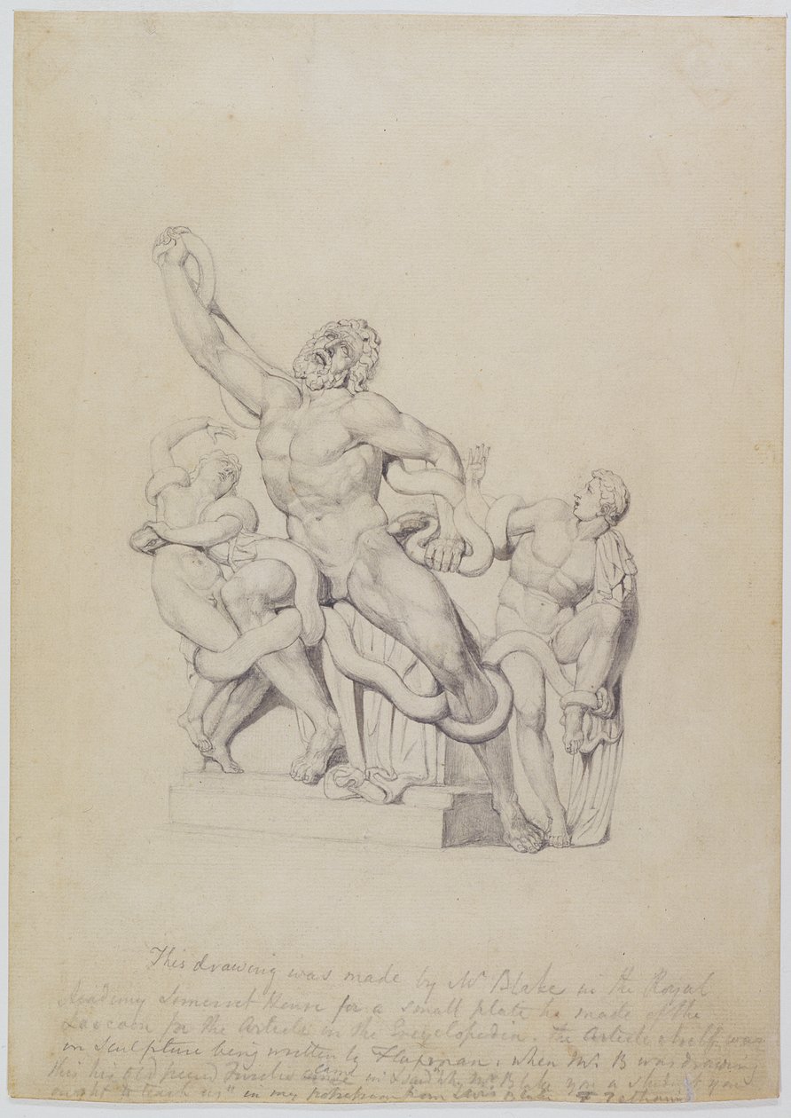 Copy of the Laocoon, for Rees