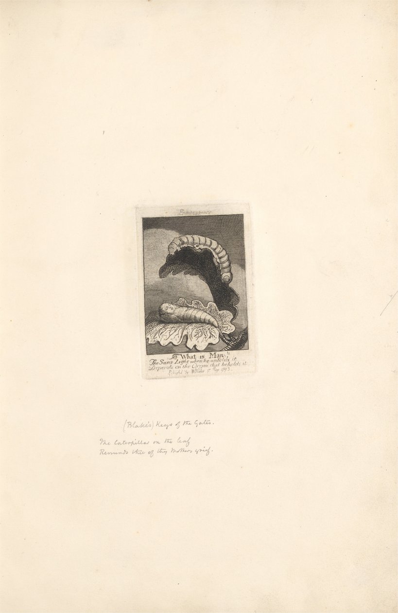 For the Sexes. The Gates of Paradise, Plate 1, Title Page by William Blake