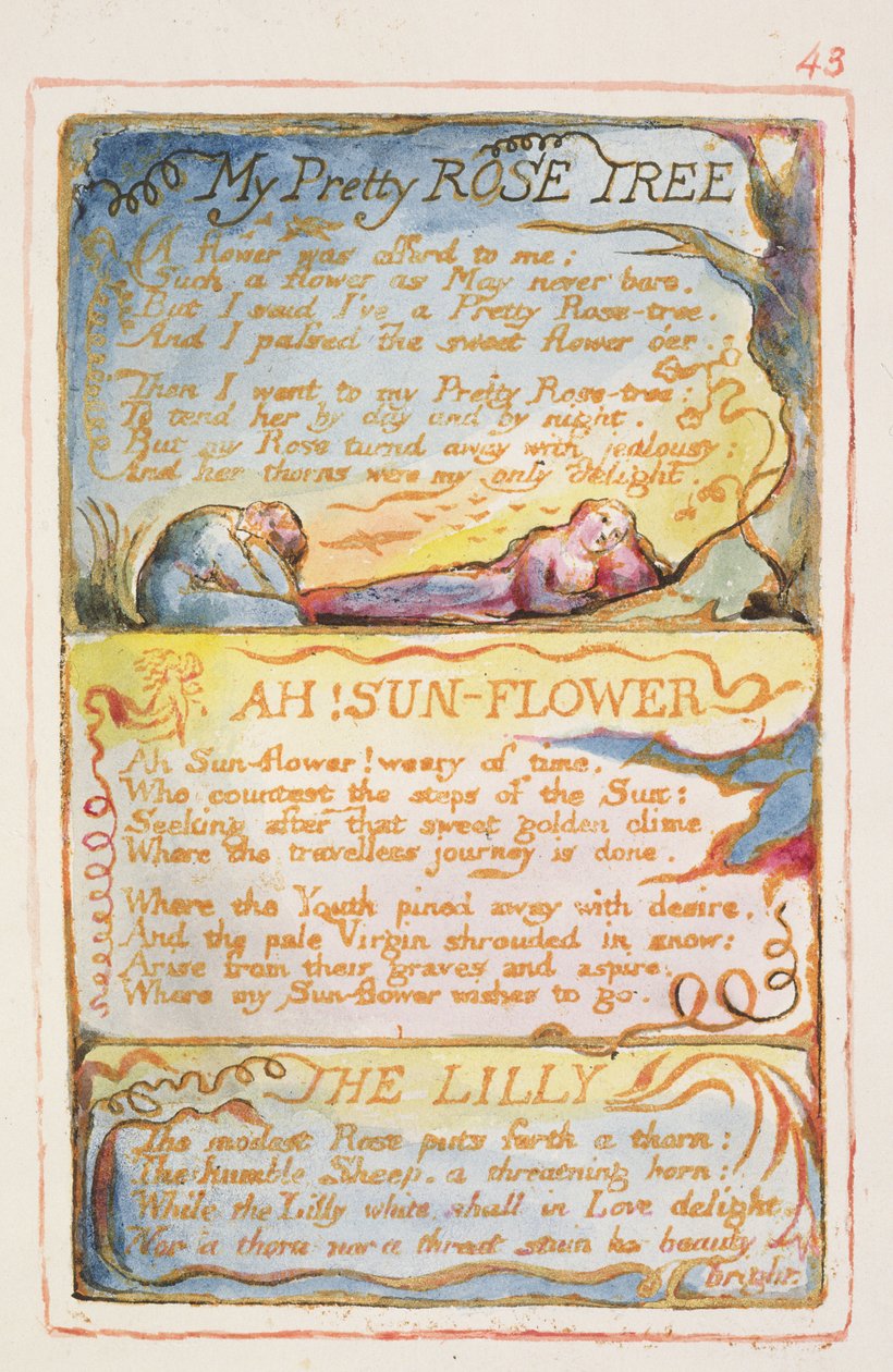 My Pretty Rose Tree; Ah! Sunflower; The Lilly: plate 43 from Songs of Innocence and of Experience by William Blake