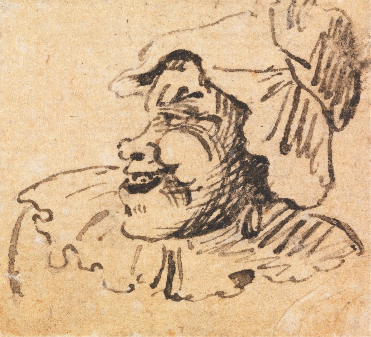 Grotesque Male Head by William Hogarth