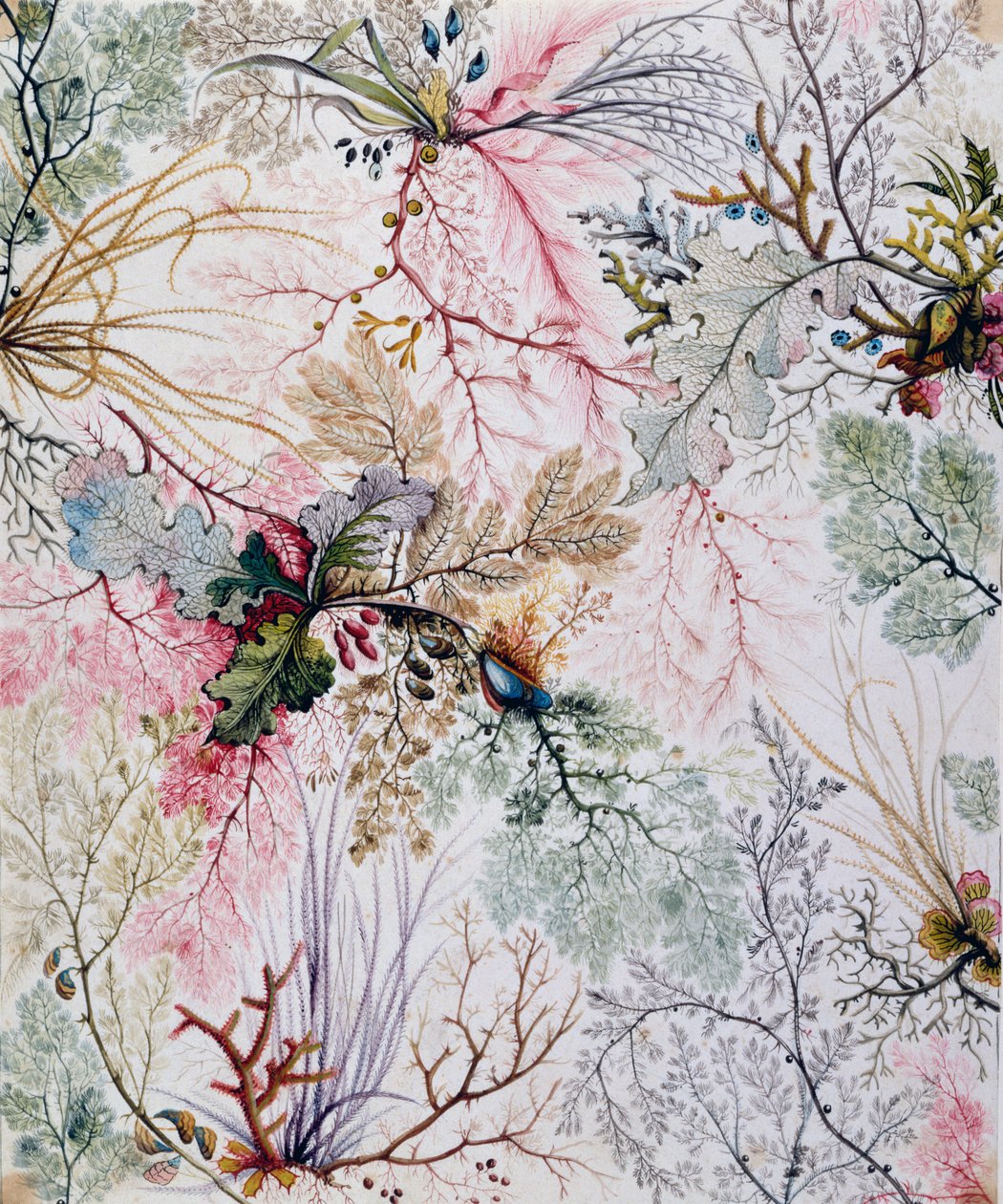 Textile Design by William Kilburn