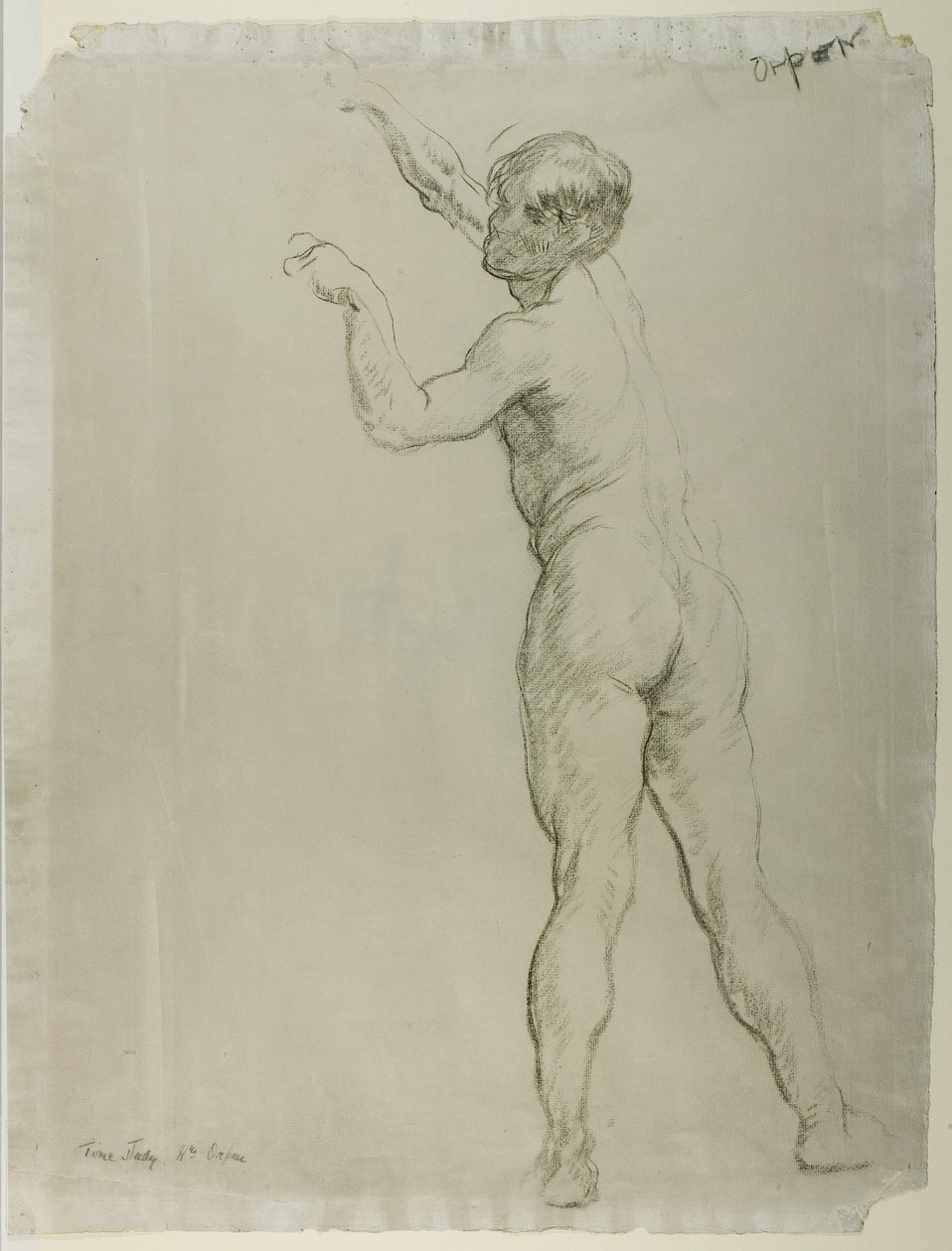 Male Nude Standing by William Orpen
