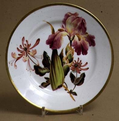Derby dessert plate decorated with iris and honeysuckle, c.1795 by William Quaker attributed to Pegg