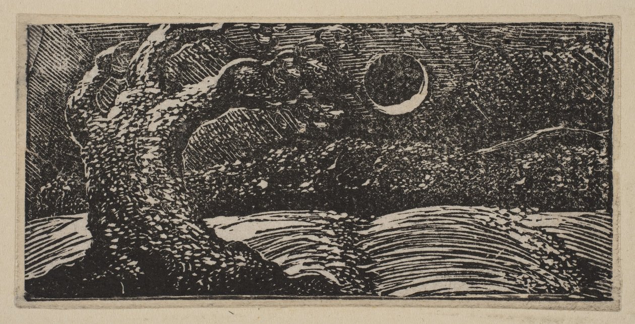 Blasted Trees and Flattened Crops, from Thornton
