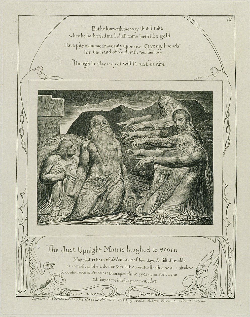Plate 14, from 