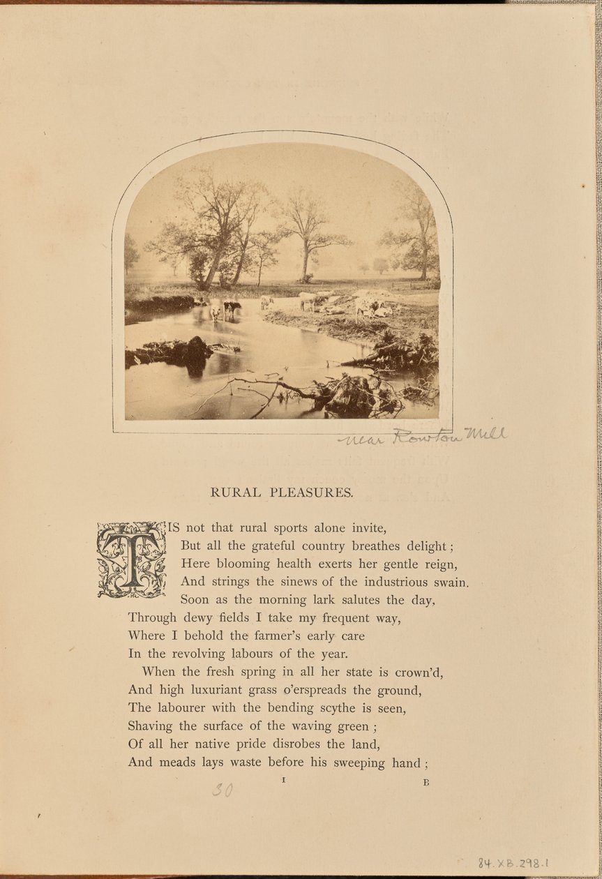 Pastoral scene with cattle in a flooded field, England by William Grundy