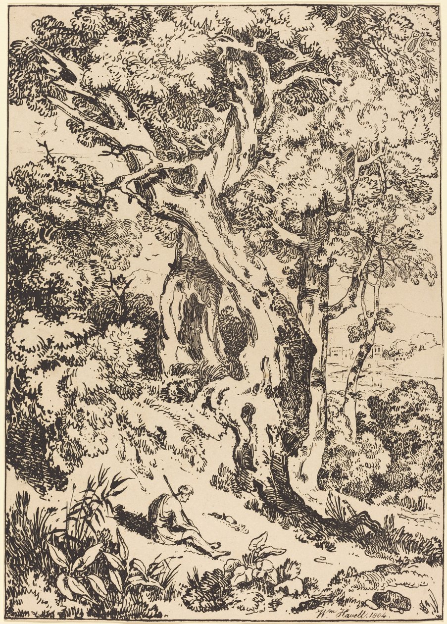 Study of Trees and Shrubs with Seated Figure by William Havell