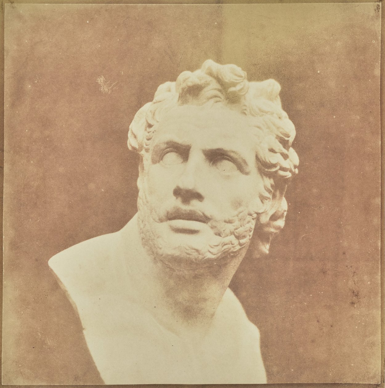Bust of Patroclus by William Henry Fox Talbot