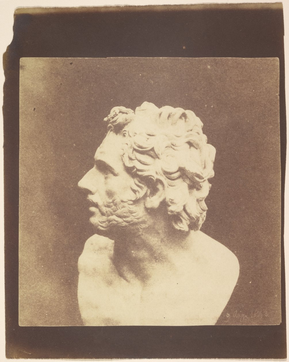 [Bust of Patroclus] by William Henry Fox Talbot