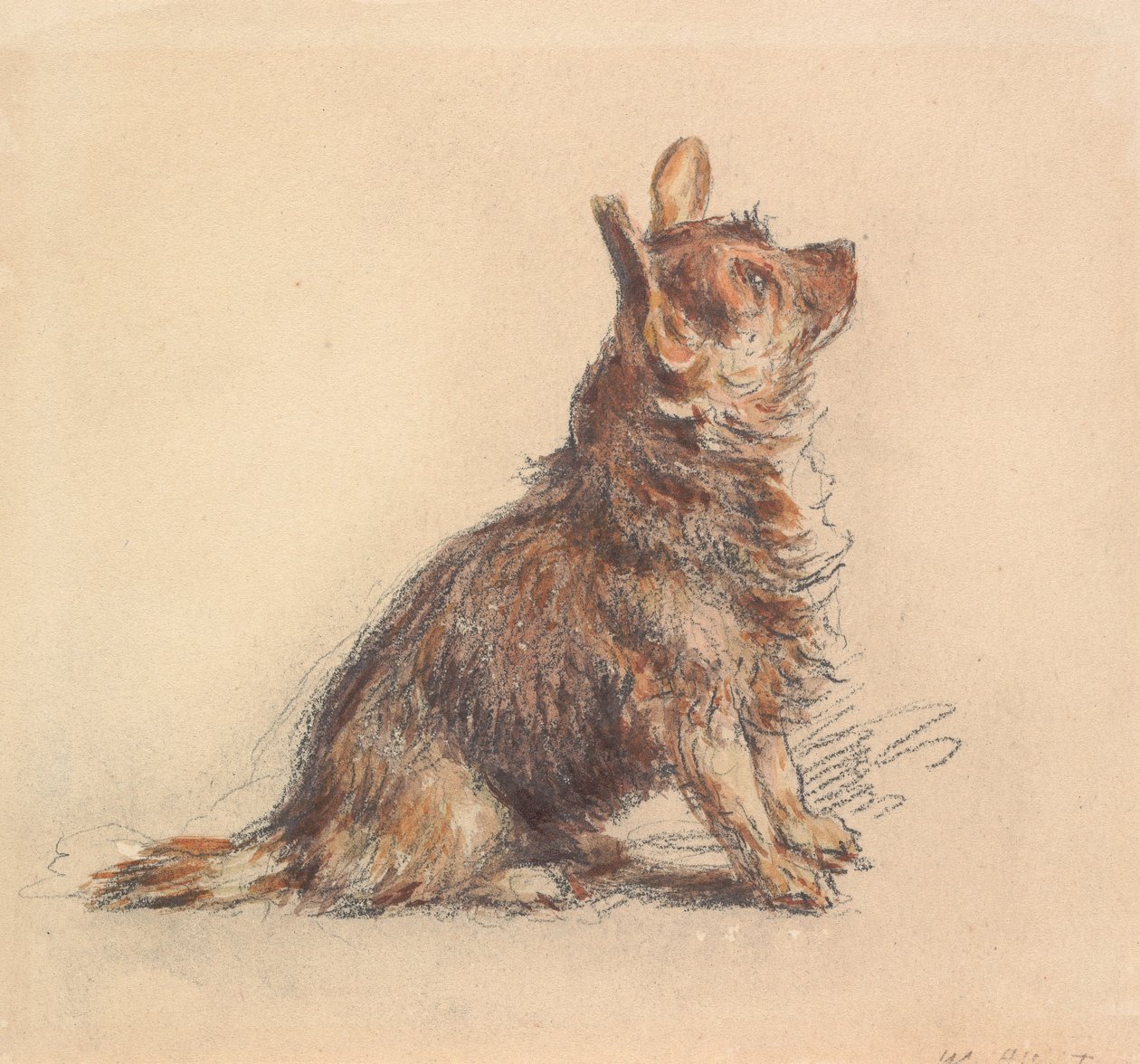 A Terrier Sitting, Looking Up to Right by William Henry Hunt