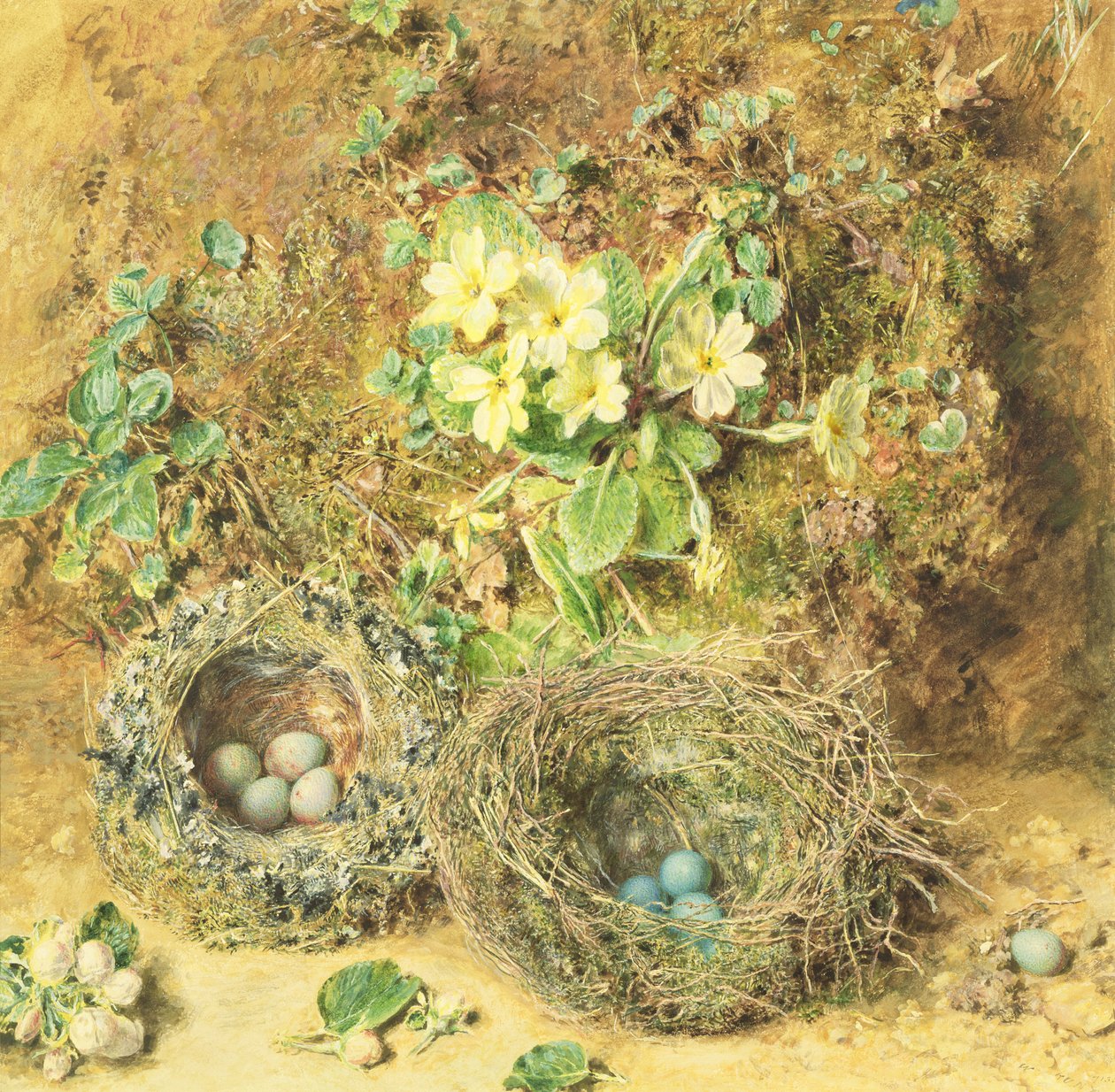 Primroses and Birds' Nests by William Henry Hunt