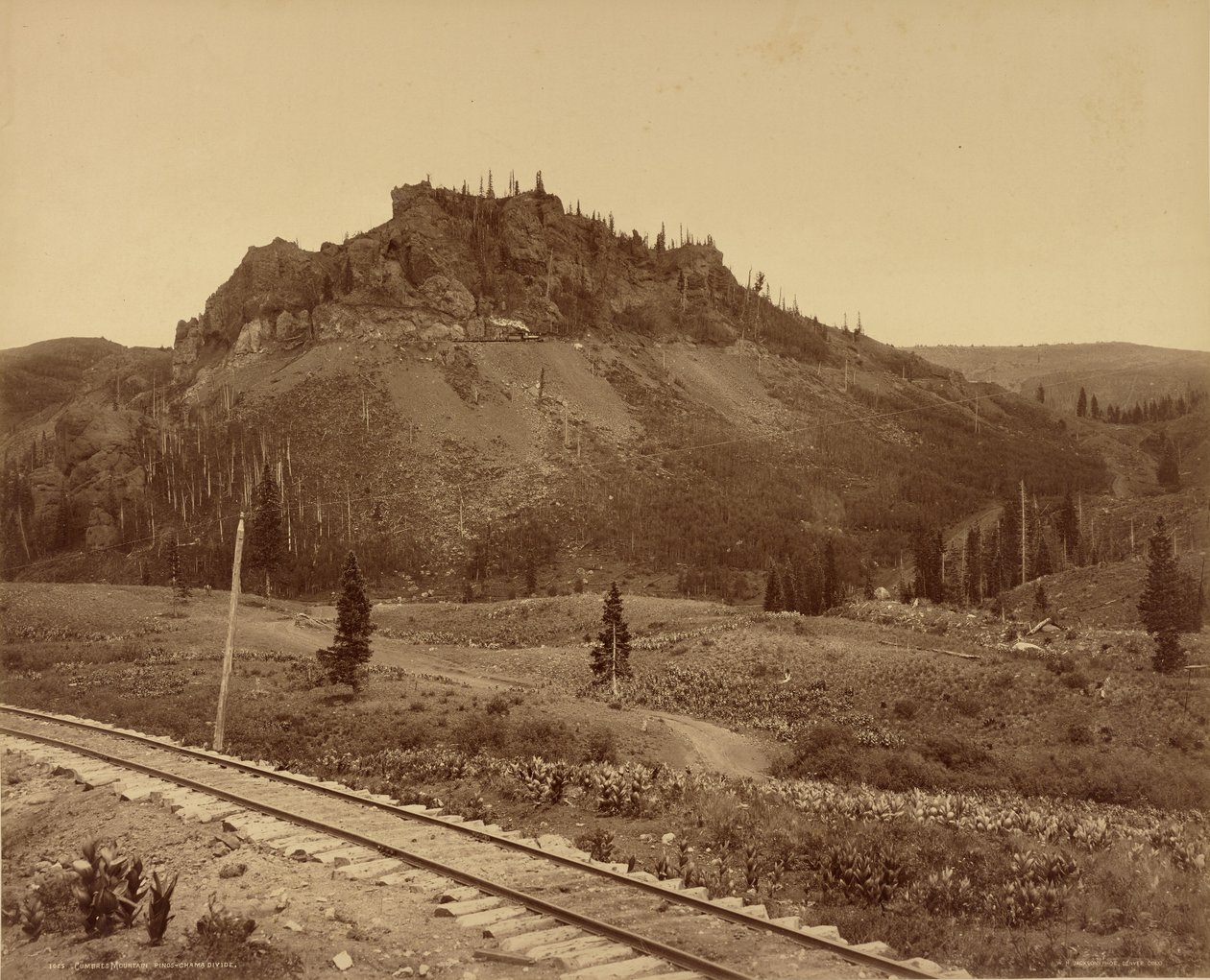 Cumbres Mountain, Pinos-Chama Divide by William Henry Jackson