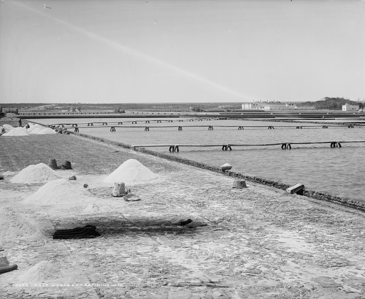 Salt works and refining vats, Mexico by William Henry Jackson