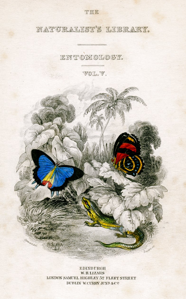 The Naturalist's Library, Entomology, Vol. V, Butterflies, c. 1833