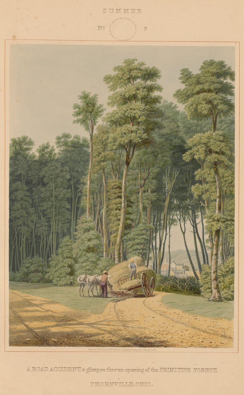 Summer--A Road Accident. A Glimpse Through an Opening of the Primitive Forest. Thornville, Ohio by William James Bennett after George Harvey